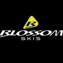 Blossom Ski Lech